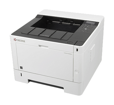 Принтер лазерный Kyocera Ecosys P2040dn