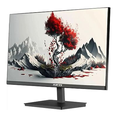 Монитор RDW Computers 23.8