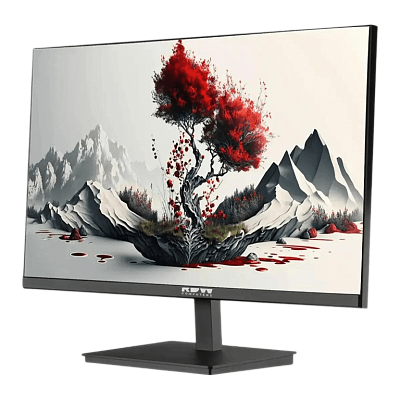 Монитор RDW Computers 23.8